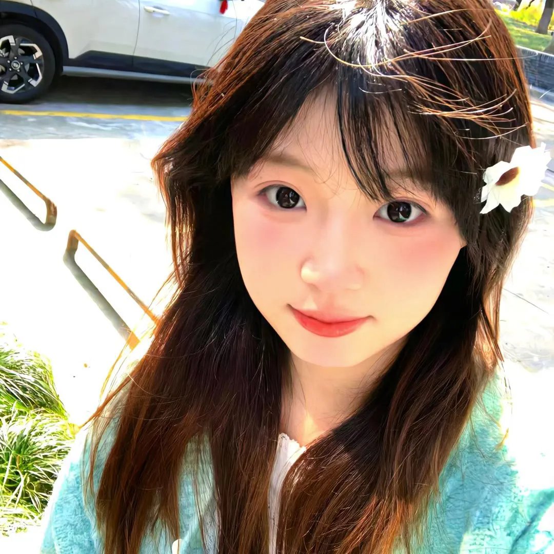 不死鸟之恋